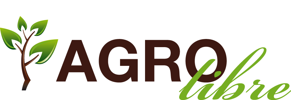 creación y desarrollo de manual de identidad corporativa