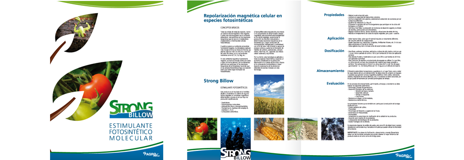 creación y desarrollo de manual de identidad corporativa