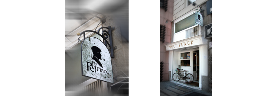 the pel place creación y desarrollo de identidad visual