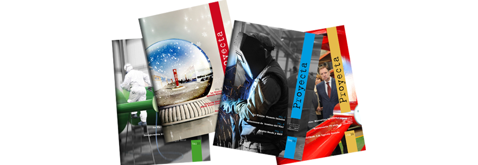 revista proyecta