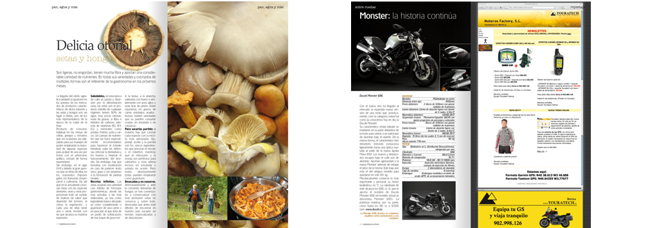 diseño y maquetación de guía de servicios valdemoro al loro<