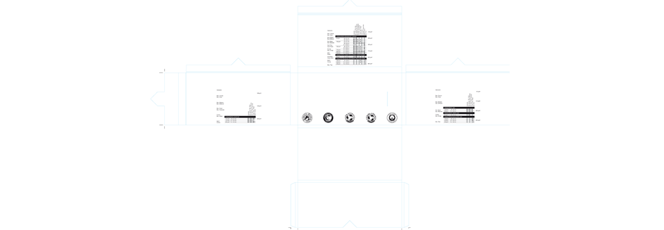 diseño de caja desplegable para conqueror