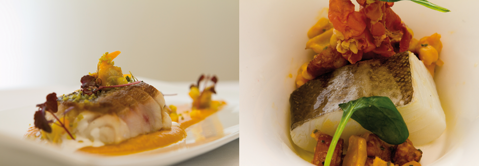 sesión fotográfica 