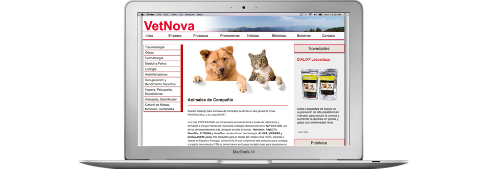 diseño y programación de web corporativa