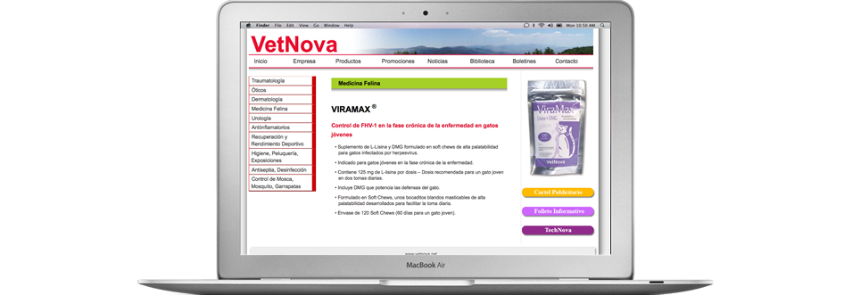 diseño y programación de web corporativa